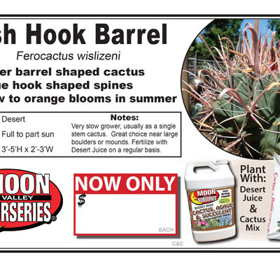 Cactus fish hook barrel