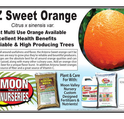 Arizona Sweet Orange