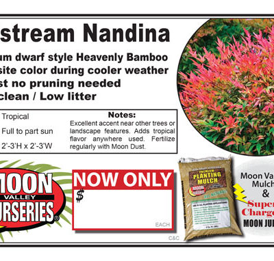 Nandina Gulfstream