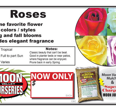 Roses Generic for all