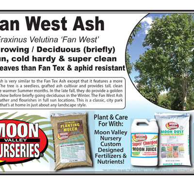 Fan West Ash