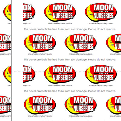 Trunk Wraps **BOXED IN 250'S**