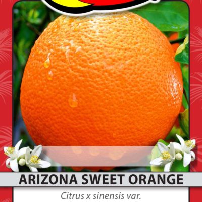ARIZONA SWEET ORANGE