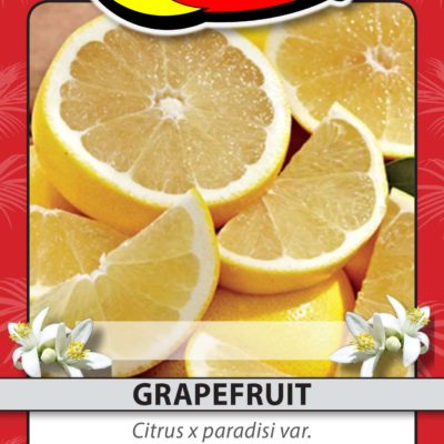 GRAPEFRUIT