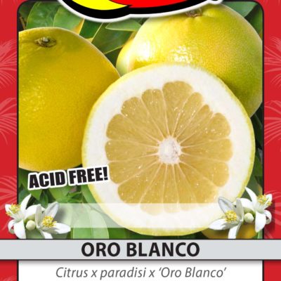 ORO BLANCO