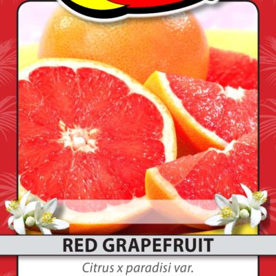 RED GRAPEFRUIT
