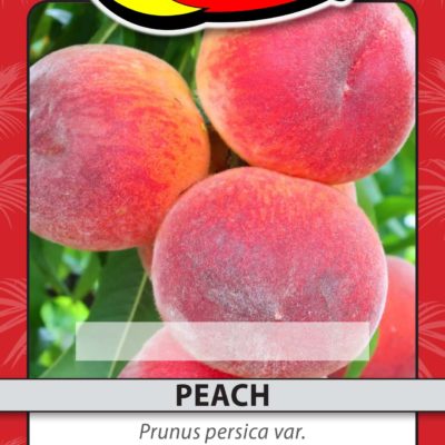 PEACH