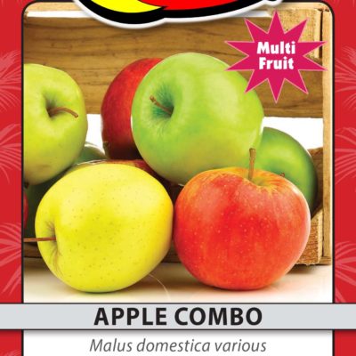 APPLE COMBO