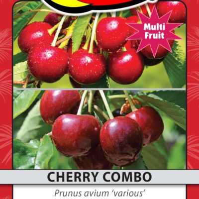 CHERRY COMBO
