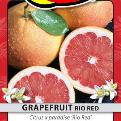 GRAPEFRUIT RIO RED