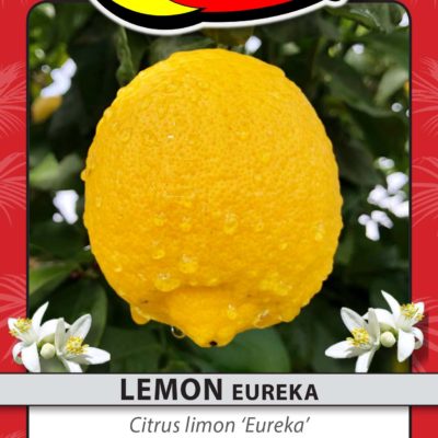 LEMON EUREKA