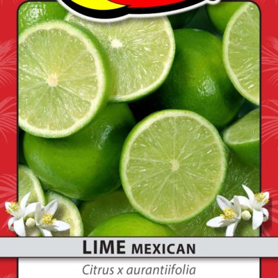 LIME MEXICAN