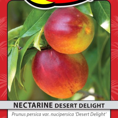 NECTARINE DESERT DELIGHT