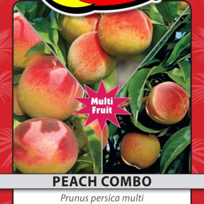 PEACH COMBO