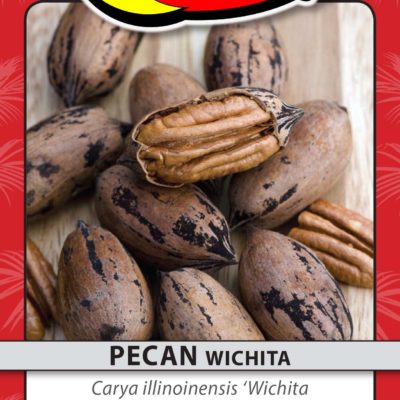 PECAN WICHITA