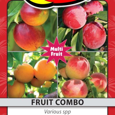 FRUIT COMBO