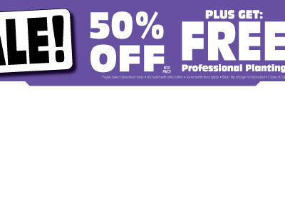 Block Buster Purple ALL_LOCATIONS