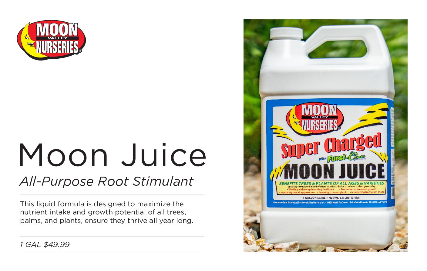 MOON JUICE