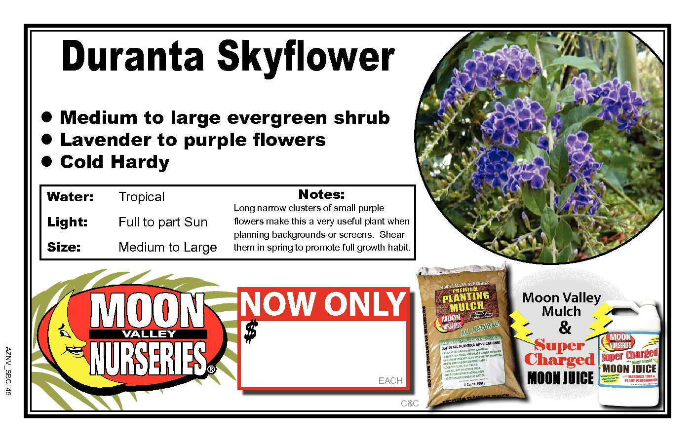 DURANTA SKYFLOWER
