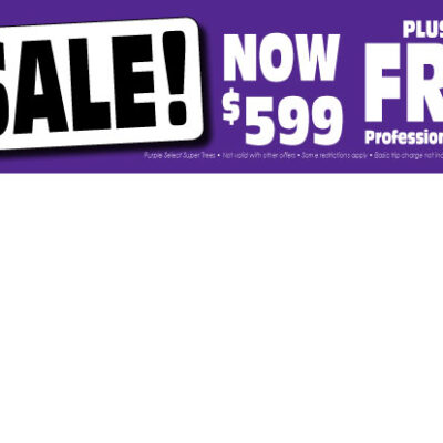 SUPER PURPLE 599 *TX*