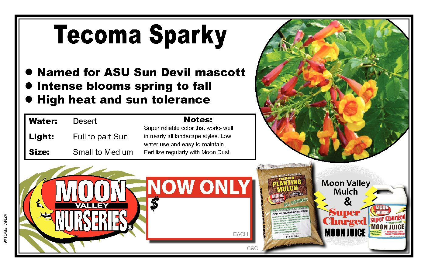 Tecoma Sparky