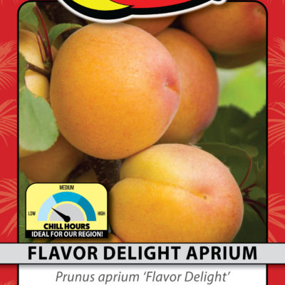 FLAVOR DELIGHT APRIUM