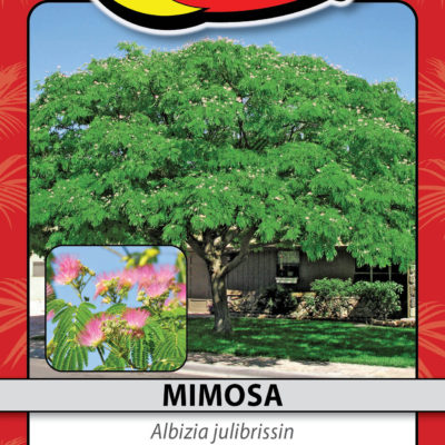 MIMOSA