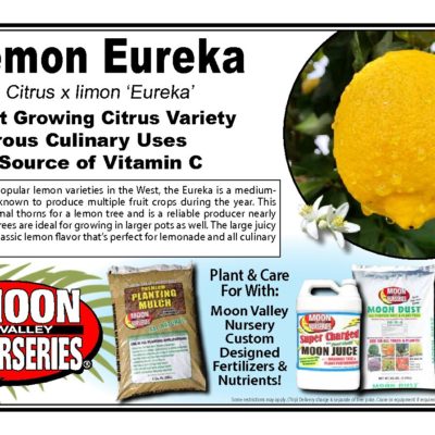 LEMON EUREKA
