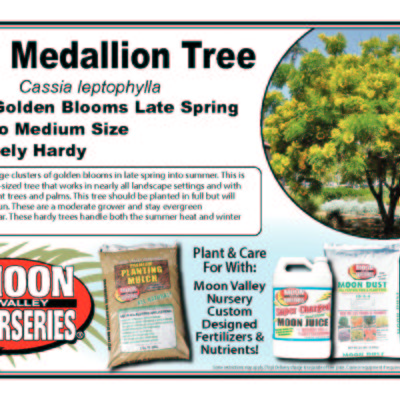GOLD MEDALLION TREE