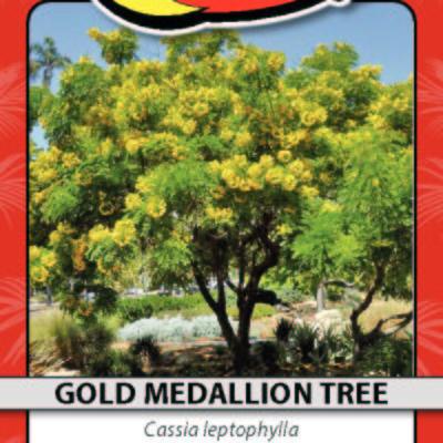 GOLD MEDALLION TREE