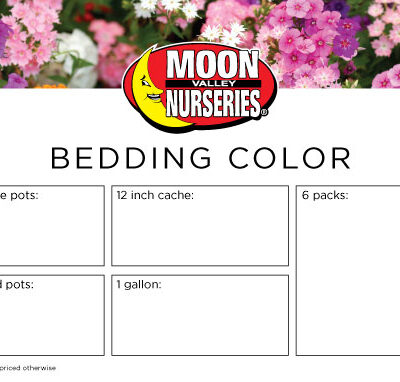 Benchcard - BEDDING COLOR
