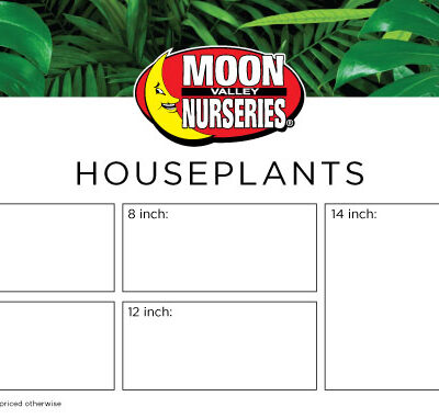 Benchcard - HOUSEPLANTS
