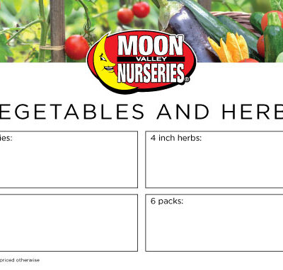 Benchcard - VEGETABLES AND HERBS