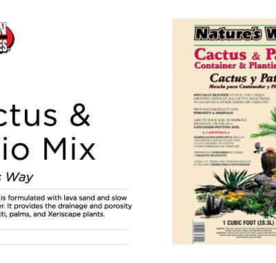 CACTUS & PATIO MIX