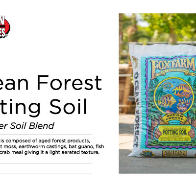 OCEAN FOREST POTTING SOIL