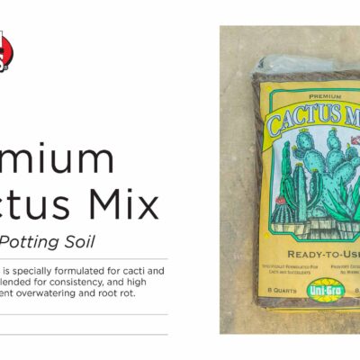 PREMIUM CACTUS MIX_ORGANIC