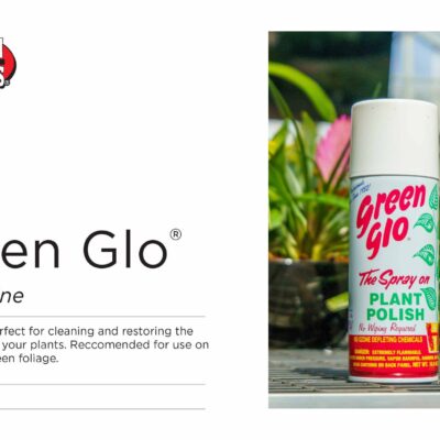 GREEN GLO PLANT SHINE