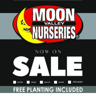SPECIALTY FREE PLANTING
