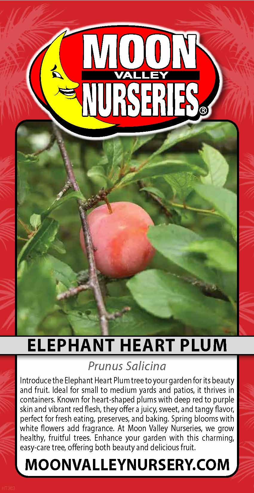 Elephant Heart Plum