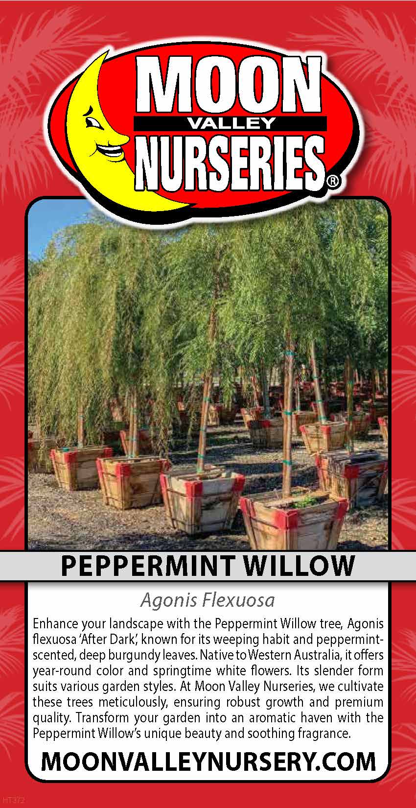 Peppermint Willow