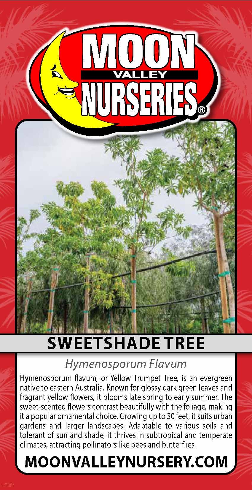 Sweetshade Tree