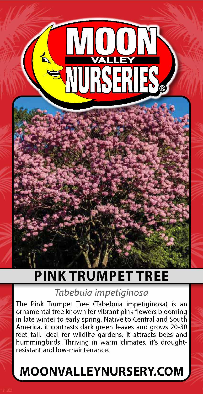 Pink Trumpet Tree
