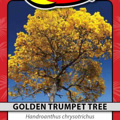 Golden Trumpet Tree