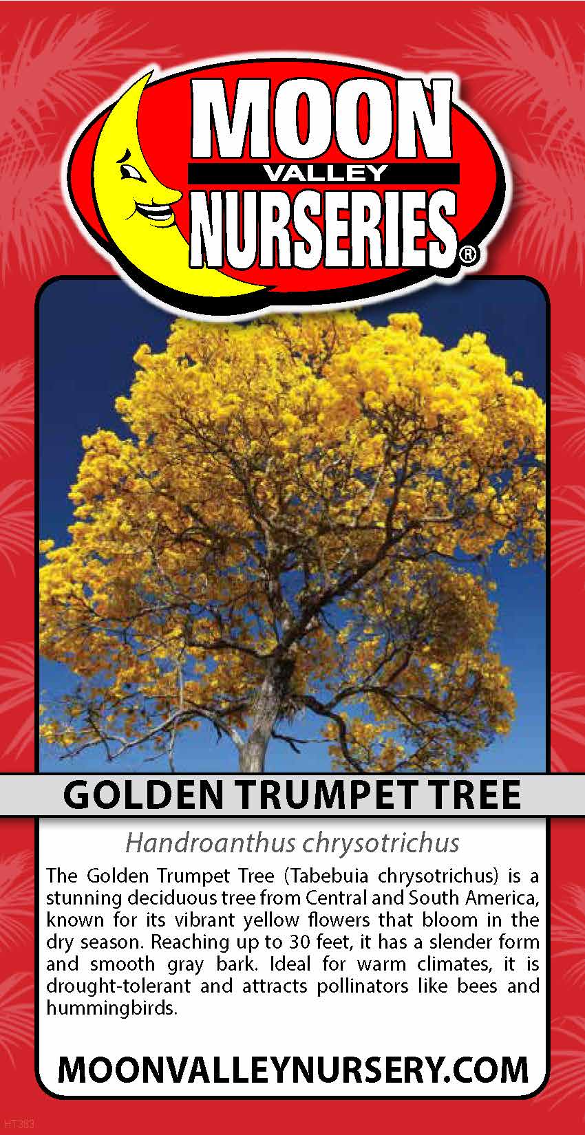 Golden Trumpet Tree